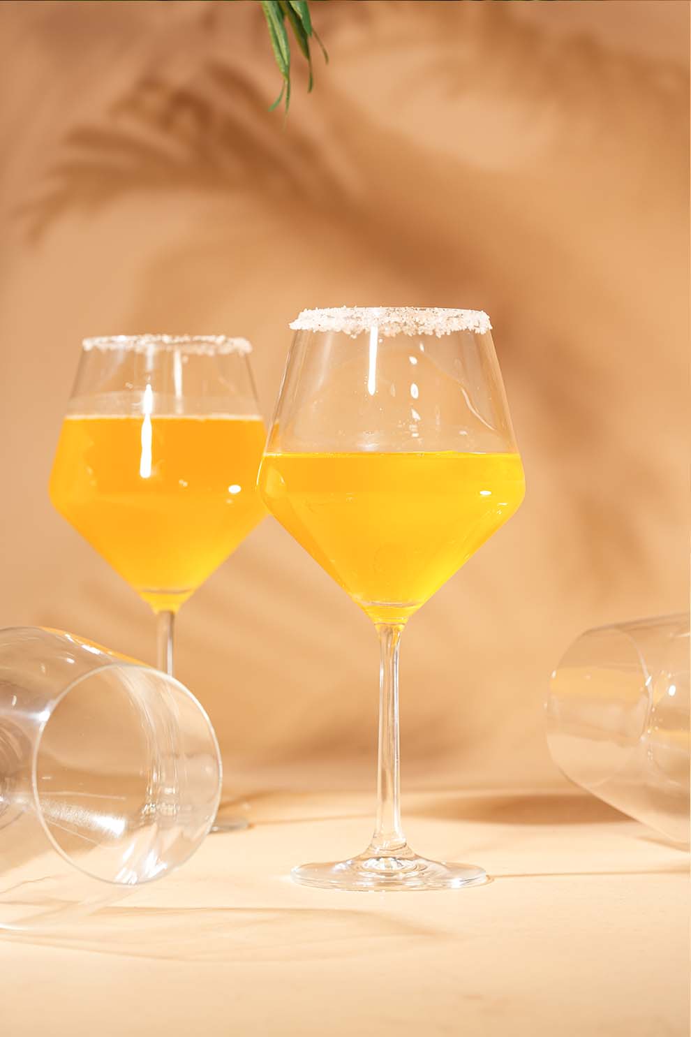 Dolce Vino Wine Glass Set of 6 (680ml)