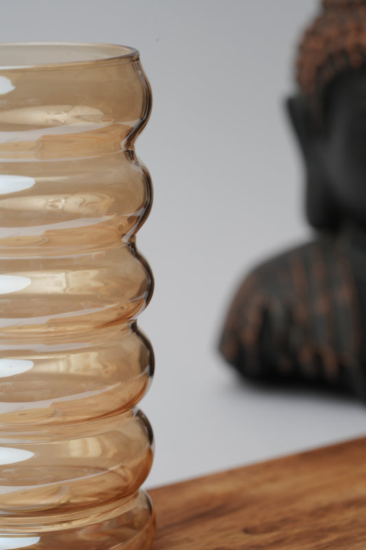 Amber Hive Glass Tumbler with Wooden Lid & Glass Straw Set of 2 (540ml)