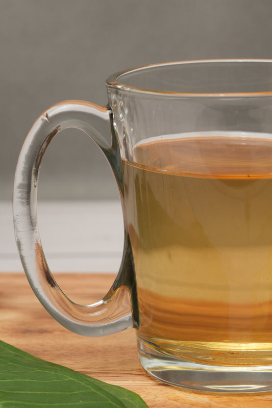 ClearVue Café Glass Mug Set of 6 (310ml)