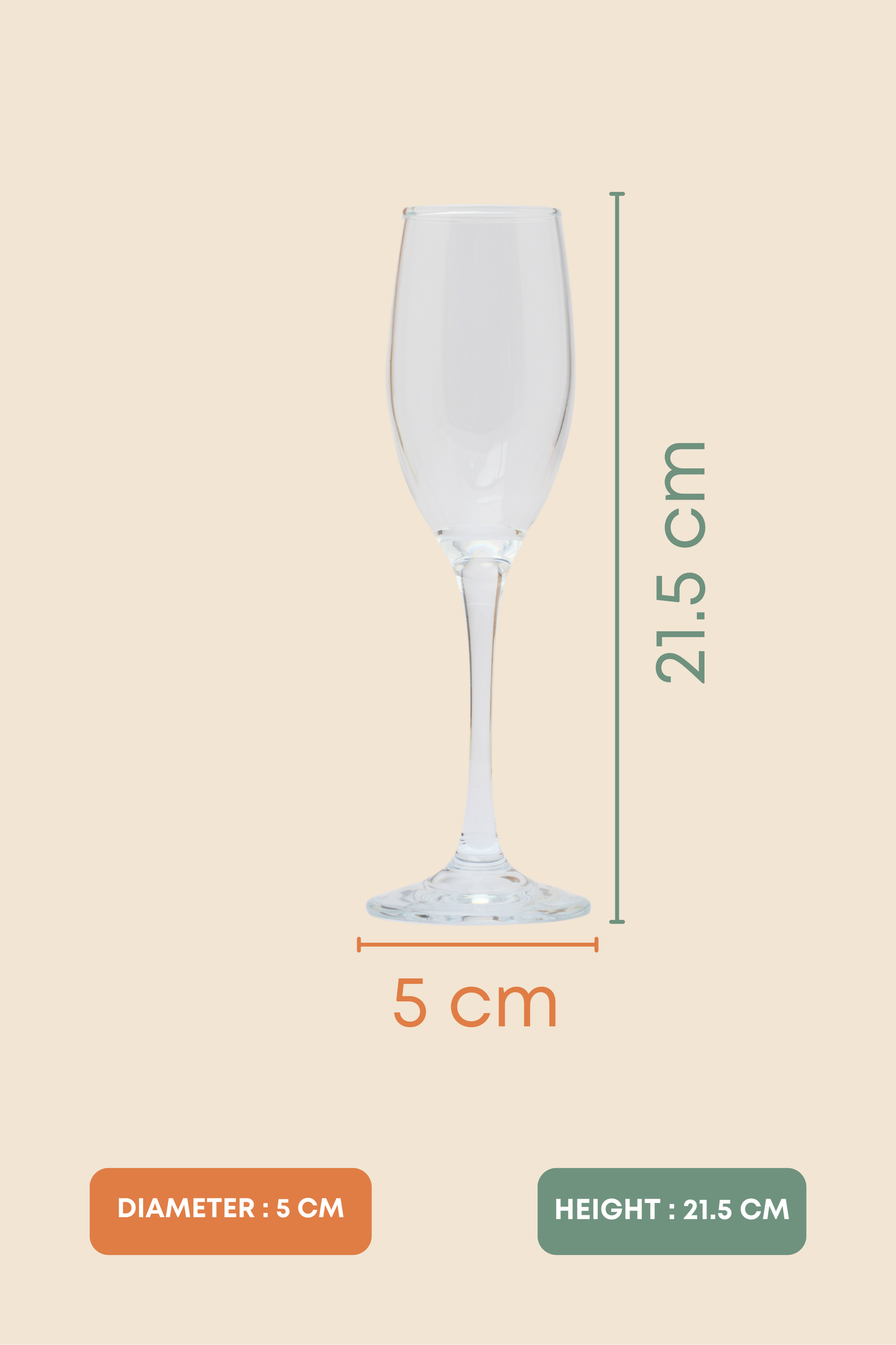 Crystalline Luxe Champagne Glass Set of 6 (310ml)