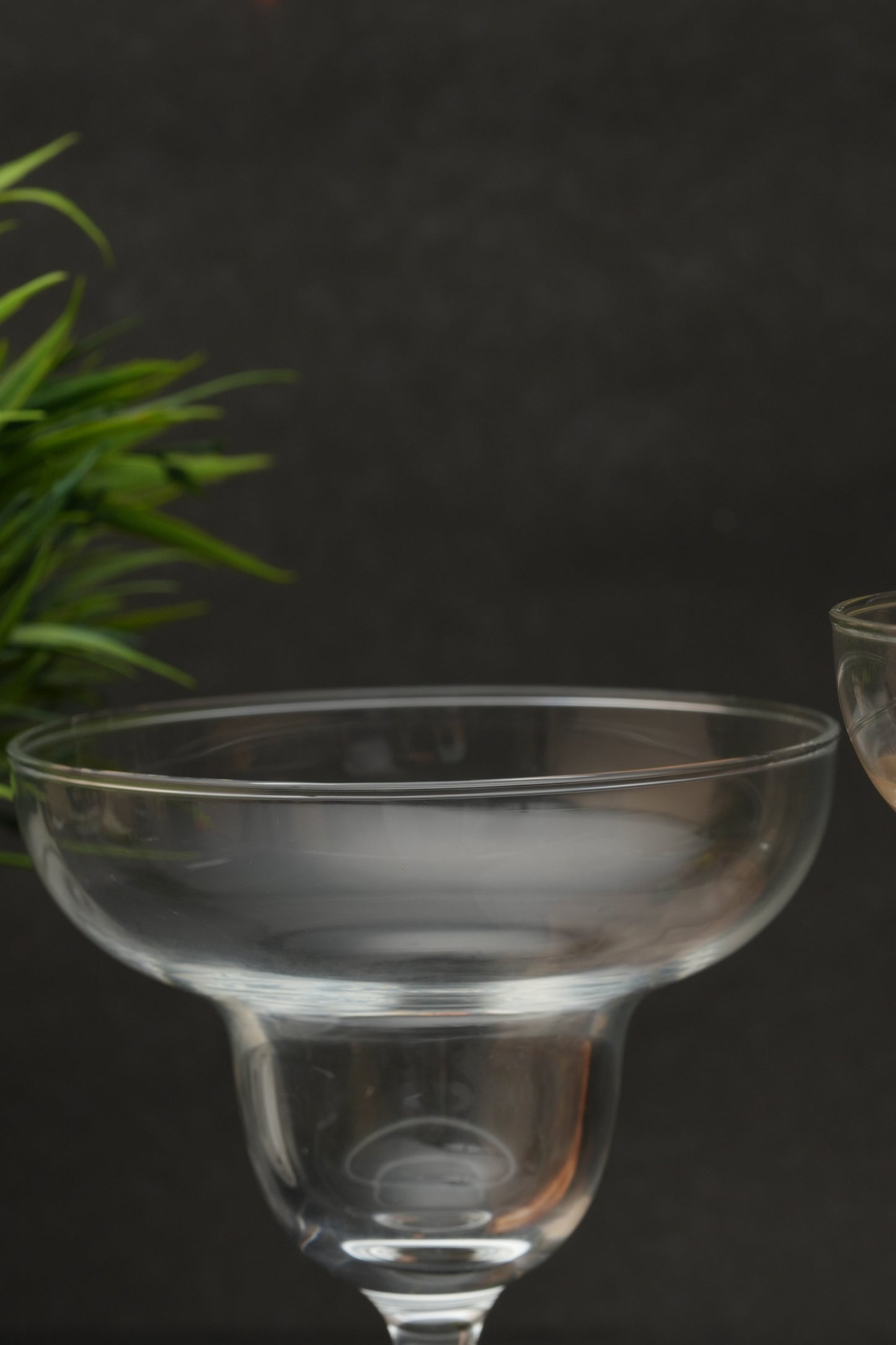 Weston Goblet Wine Glass Set of 6 (240ml)