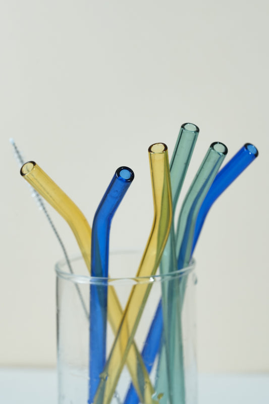 Coloured Glass Straws Set of 6 with Straw Cleaner (20cm)
