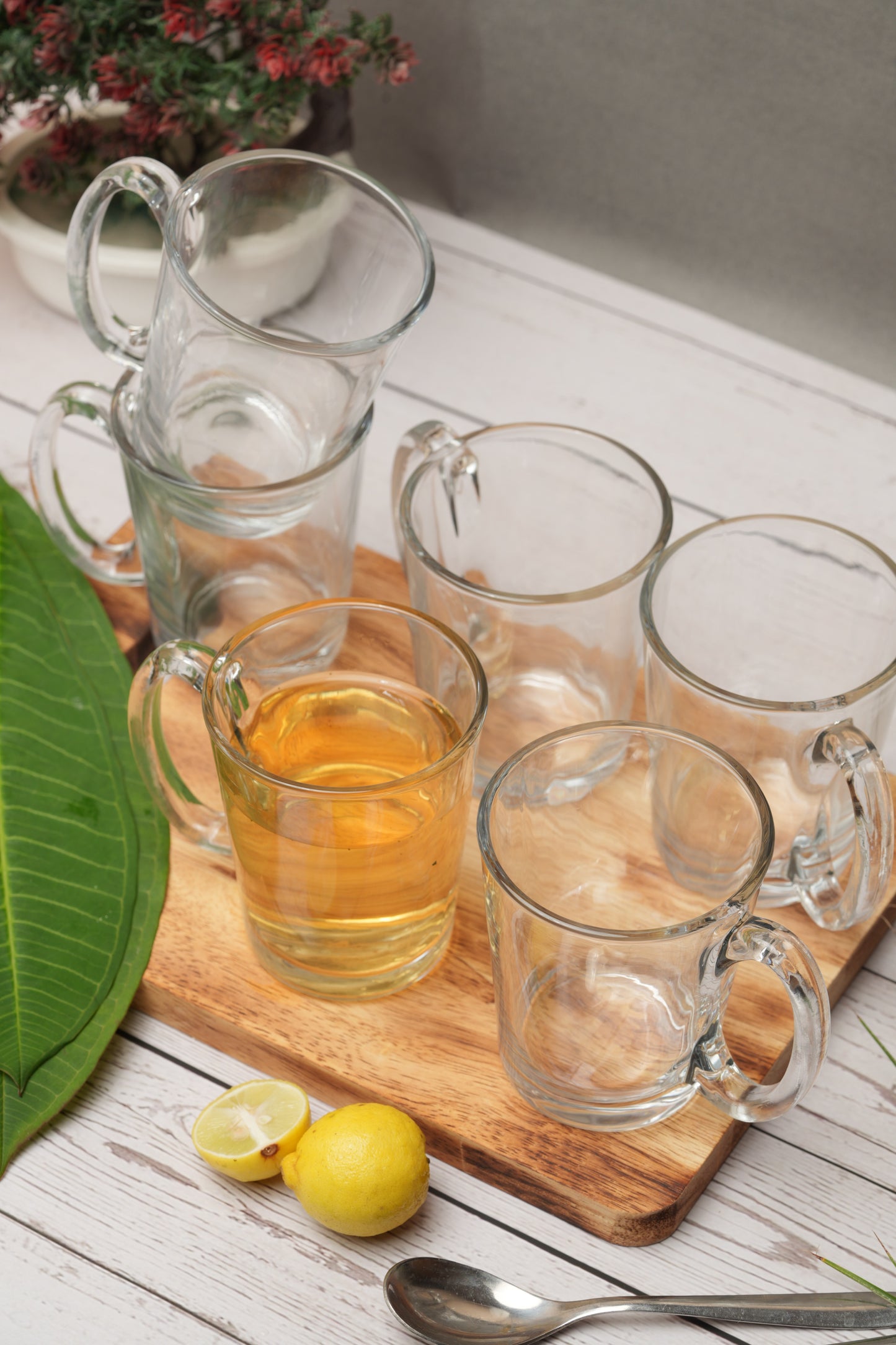 ClearVue Café Glass Mug Set of 6 (310ml)