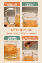 Crystal Brew Classic Glass Mug Set of 6 (350ml)