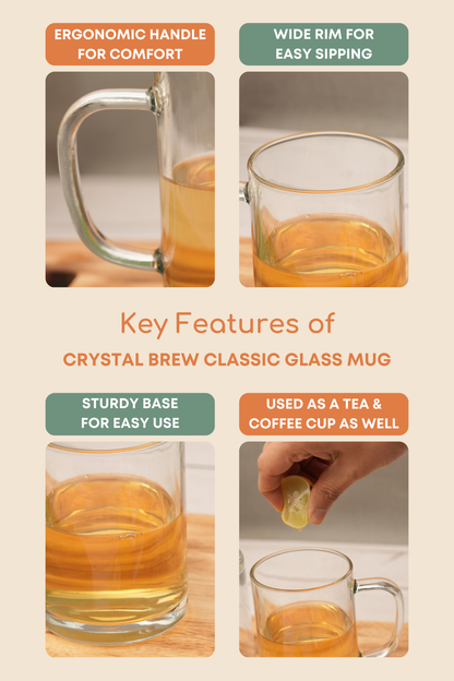Crystal Brew Classic Glass Mug Set of 6 (350ml)