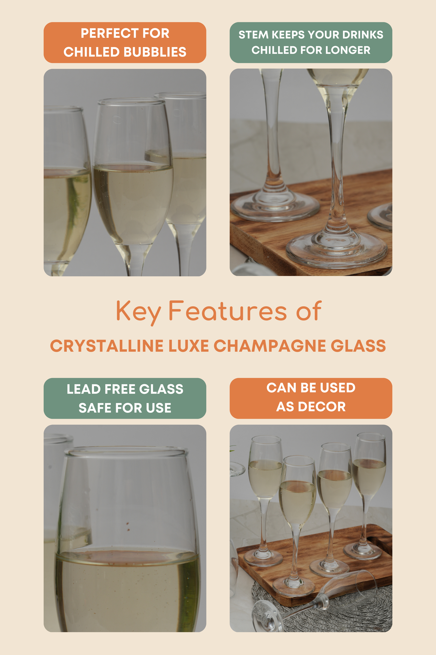 Crystalline Luxe Champagne Glass Set of 6 (310ml)
