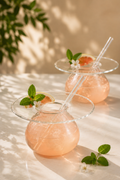 Drinkers Plateau Cocktail Glass with Glass Straw Set of 2 (225ml)