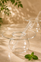 Drinkers Plateau Cocktail Glass with Glass Straw Set of 2 (225ml)