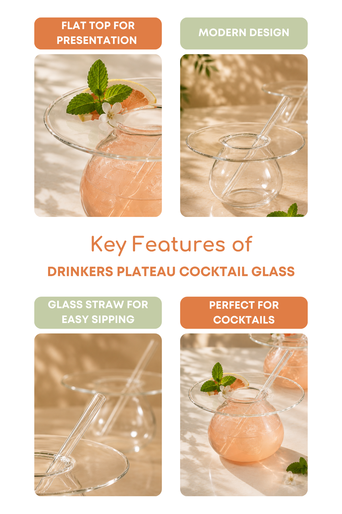 Drinkers Plateau Cocktail Glass with Glass Straw Set of 2 (225ml)