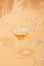 Regal Martini Cocktail Glass Set of 4 (230ml)