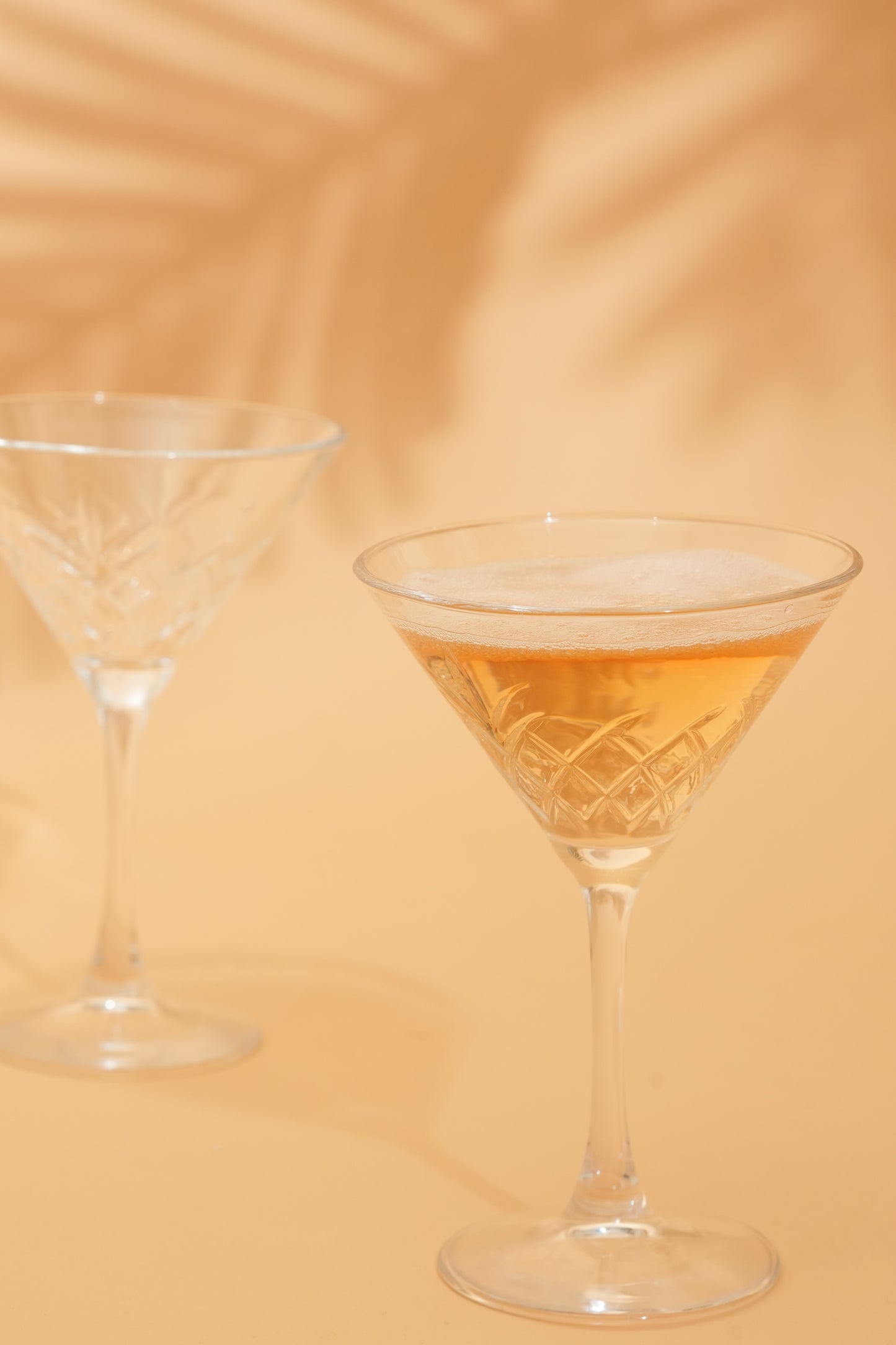 Regal Martini Cocktail Glass Set of 4 (230ml)