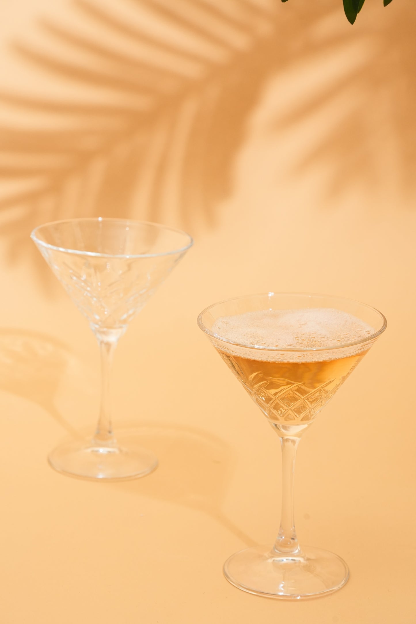 Regal Martini Cocktail Glass Set of 4 (230ml)