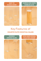 Celeste Flute Cocktail Glass Set of 6 (165ml)