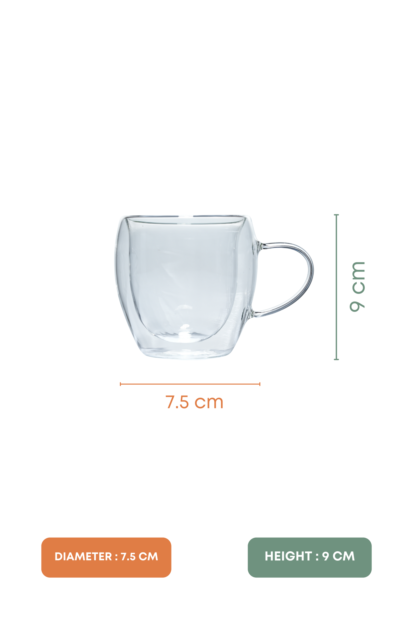 Therma Bloom Double Wall Glass Mug Set of 2 (250ml)