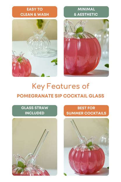 Pomegranate Sip Cocktail Glass with Glass Straw Set of 2 (350ml)
