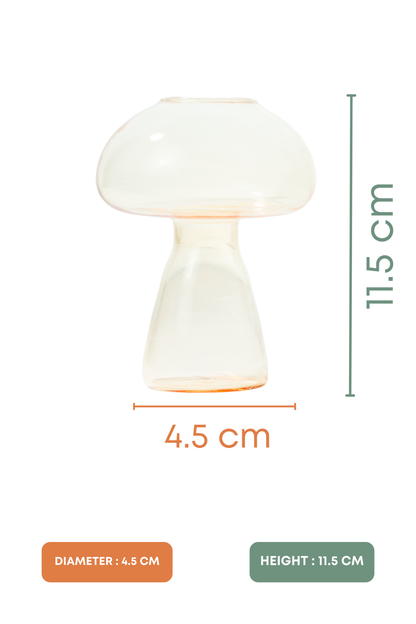 Amber Fungi Cocktail Glass Set of 2 (180ml)