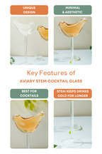 Aviary Stem Cocktail Glass Set of 2 (250ml)