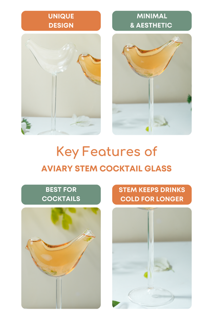Aviary Stem Cocktail Glass Set of 2 (250ml)