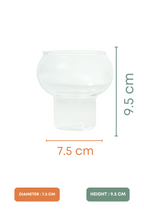 Orb Coupe Cocktail Glass Set of 2 (300ml)
