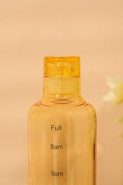 Shades Glass Bottle Set of 2 (500ml)