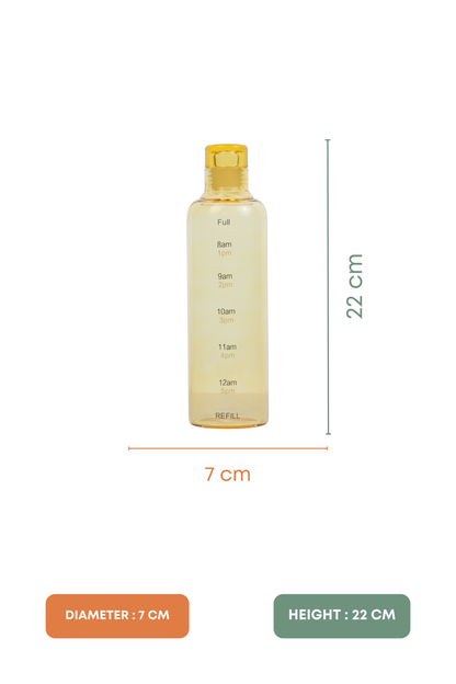 Shades Glass Bottle Set of 2 (500ml)
