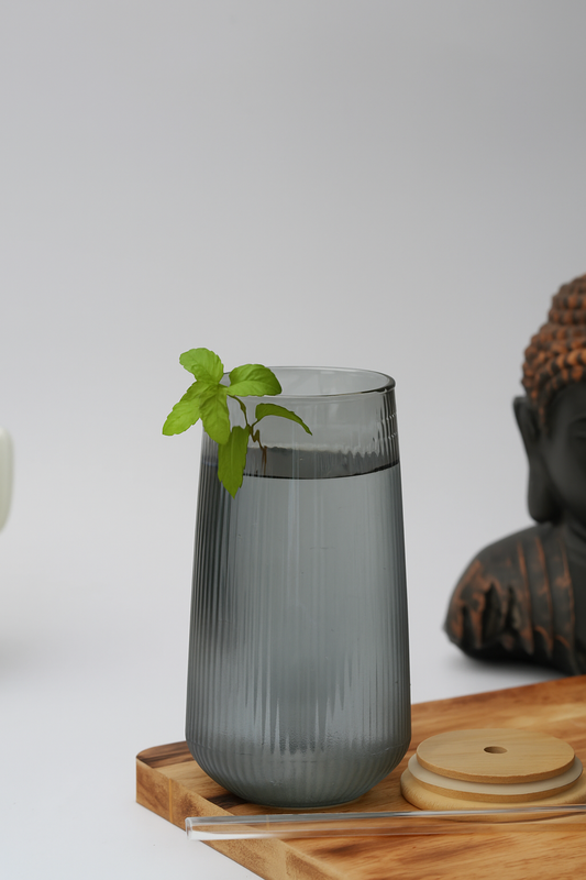 Grey Grove Glass Tumbler with Wooden Lid & Glass Straw Set of 2 (540ml)