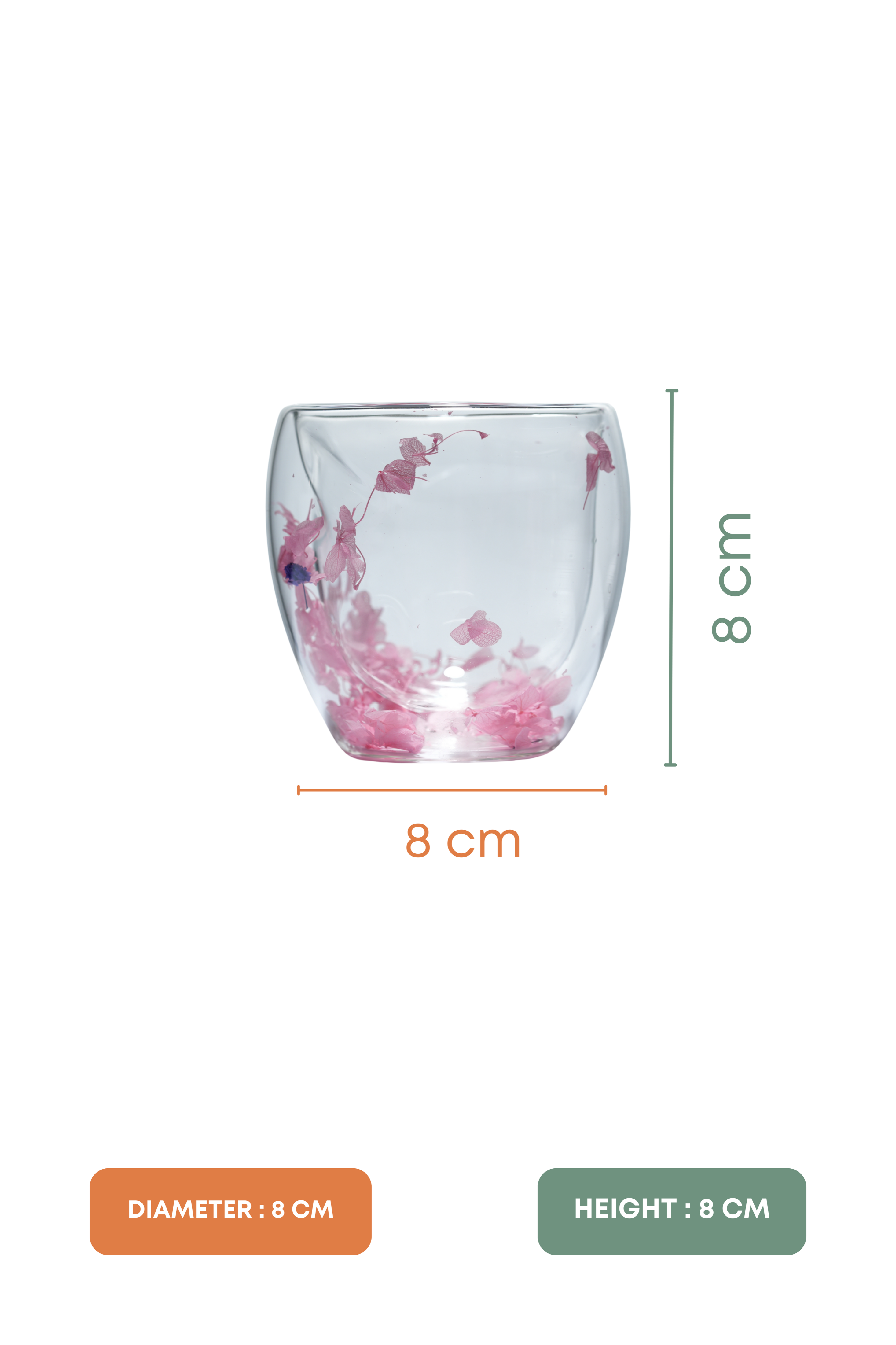 Flora Duo Double Wall Cocktail Glass Set of 2 (250ml)