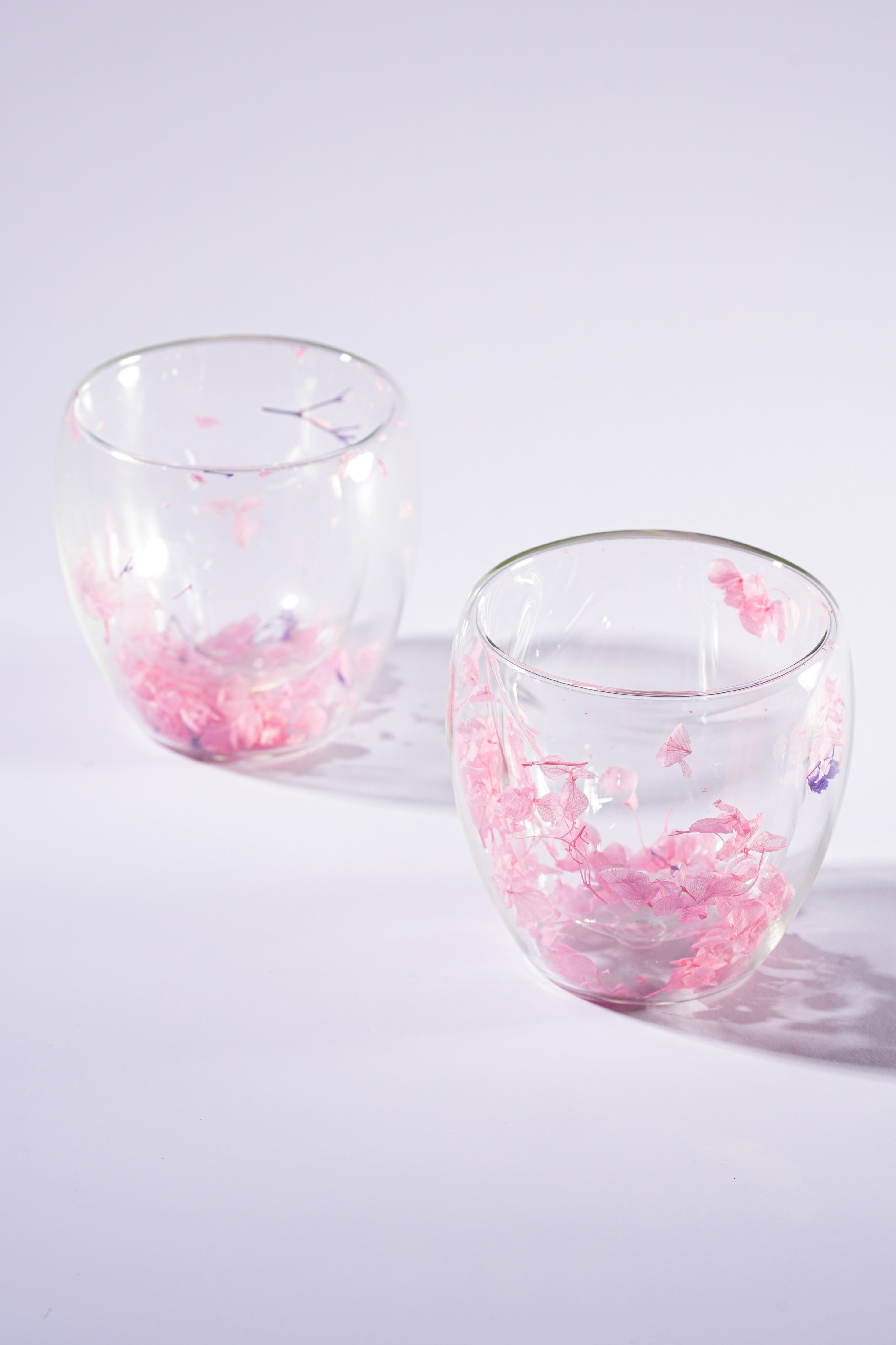 Flora Duo Double Wall Cocktail Glass Set of 2 (250ml)