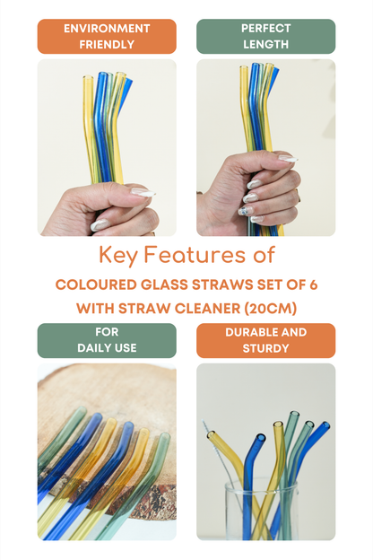 Coloured Glass Straws Set of 6 with Straw Cleaner (20cm)