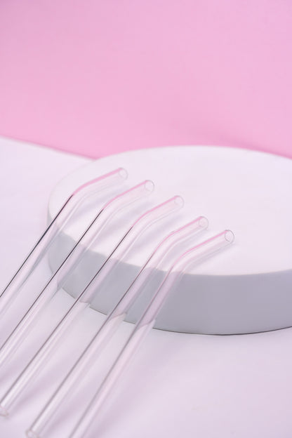 Glass Straws Set of 5 (17.5cm)