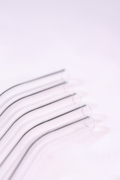 Glass Straws Set of 5 (17.5cm)