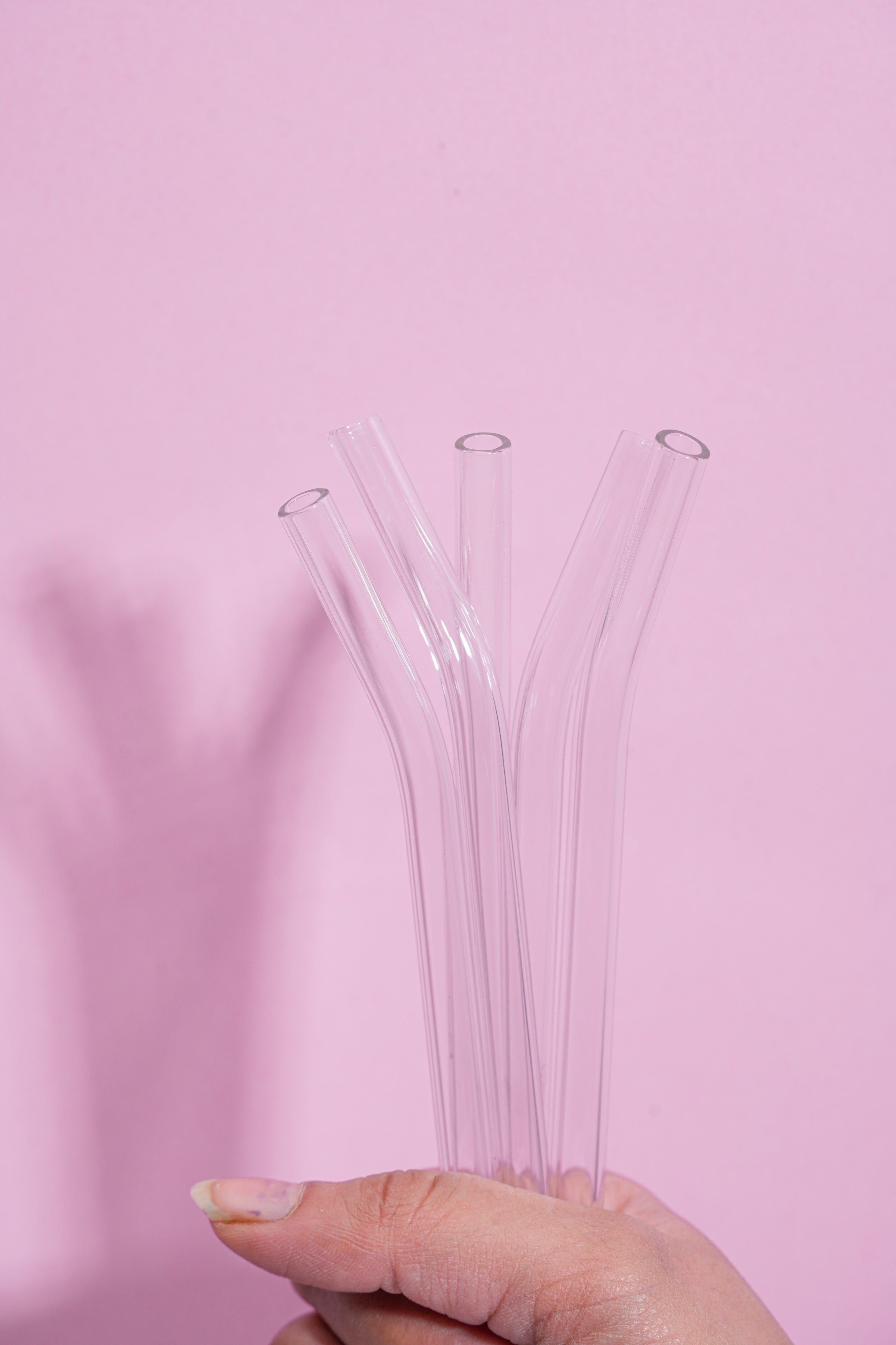 Glass Straws Set of 5 (17.5cm)