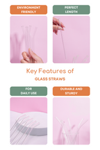 Glass Straws Set of 5 (17.5cm)