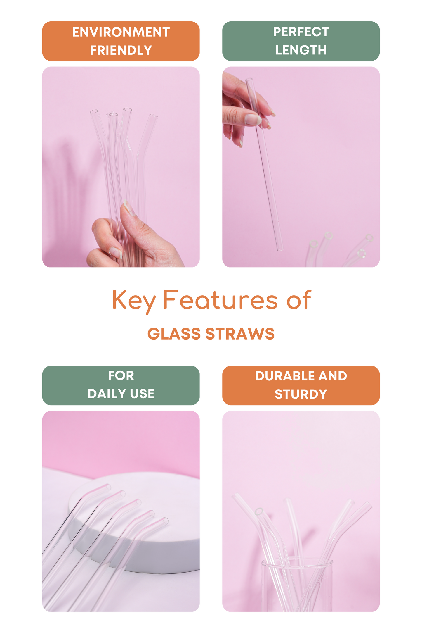 Glass Straws Set of 5 (17.5cm)