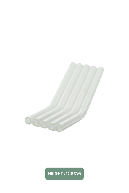 Glass Straws Set of 5 (17.5cm)